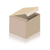 Erfolgsfaktor Betriebsratsarbeit 2012